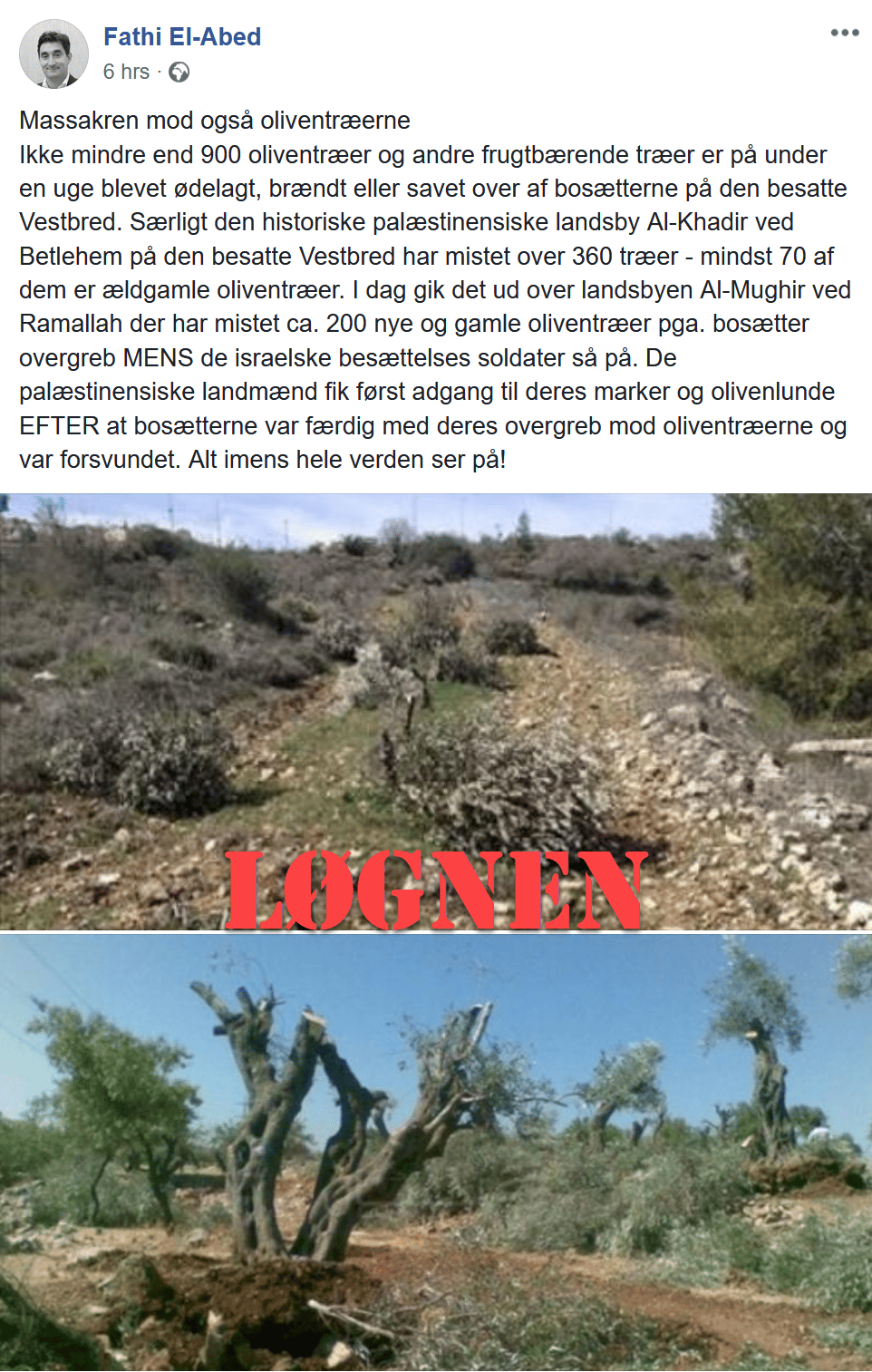 Propaganda om oliventræer